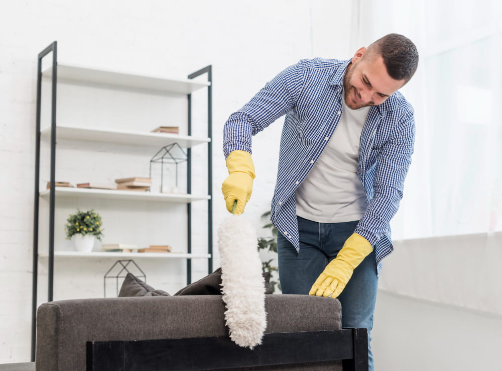 couch cleaning